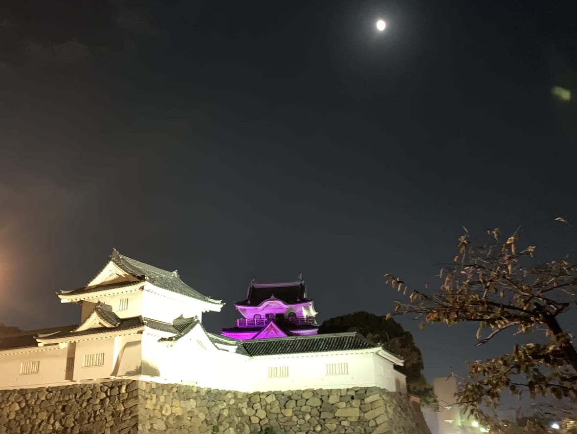 岸和田城の夜