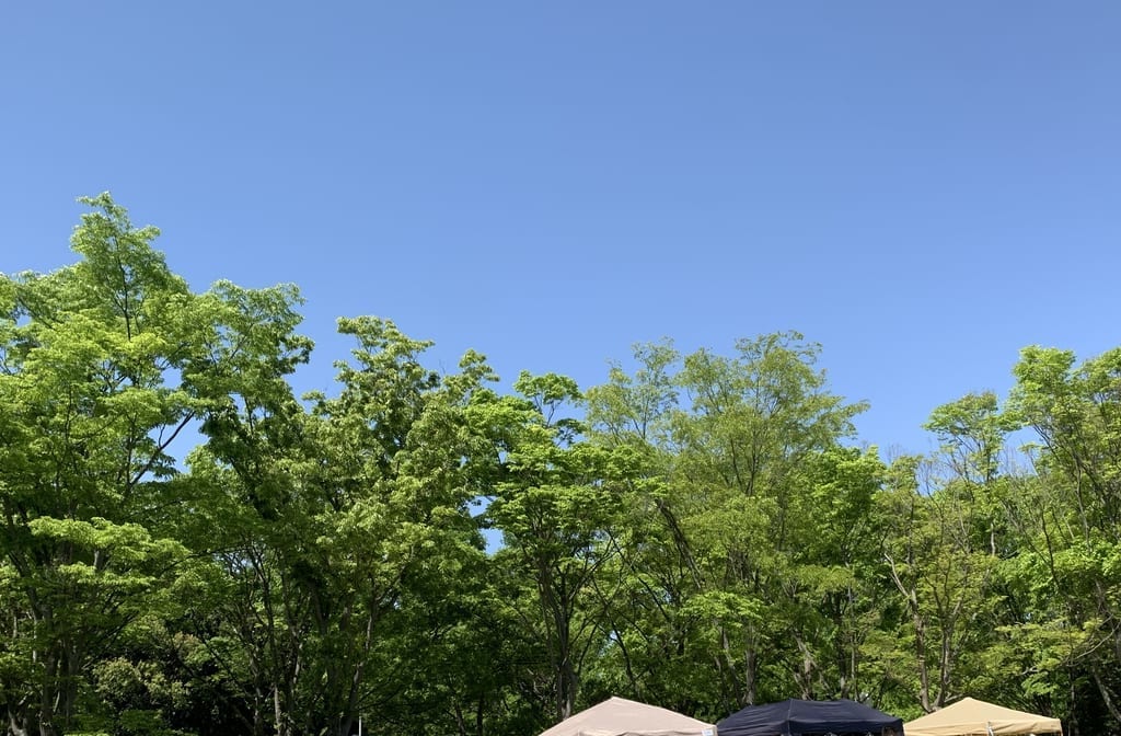 蜻蛉池公園