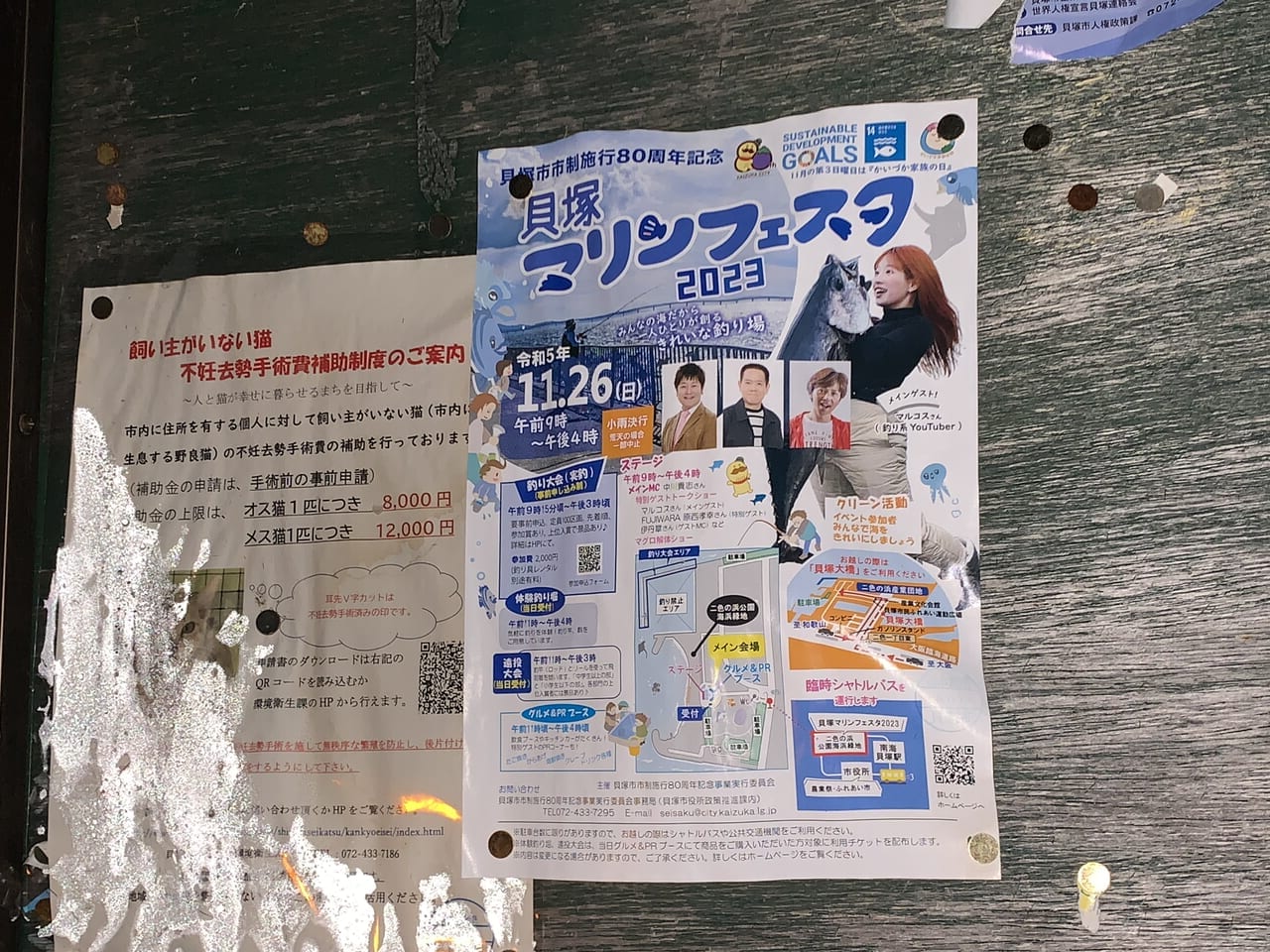 貝塚マリンフェスタのポスター