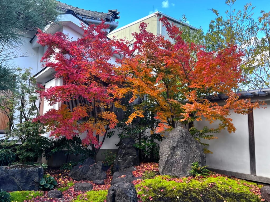 要眼寺