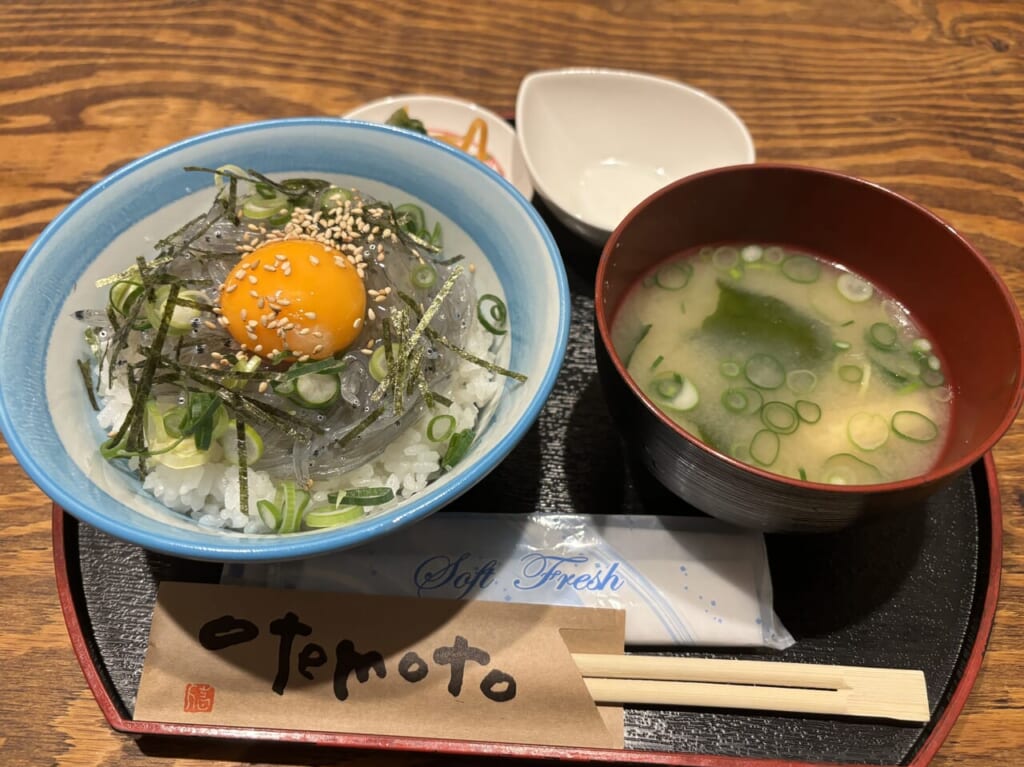 隠れ家ヒロトモ生シラス丼