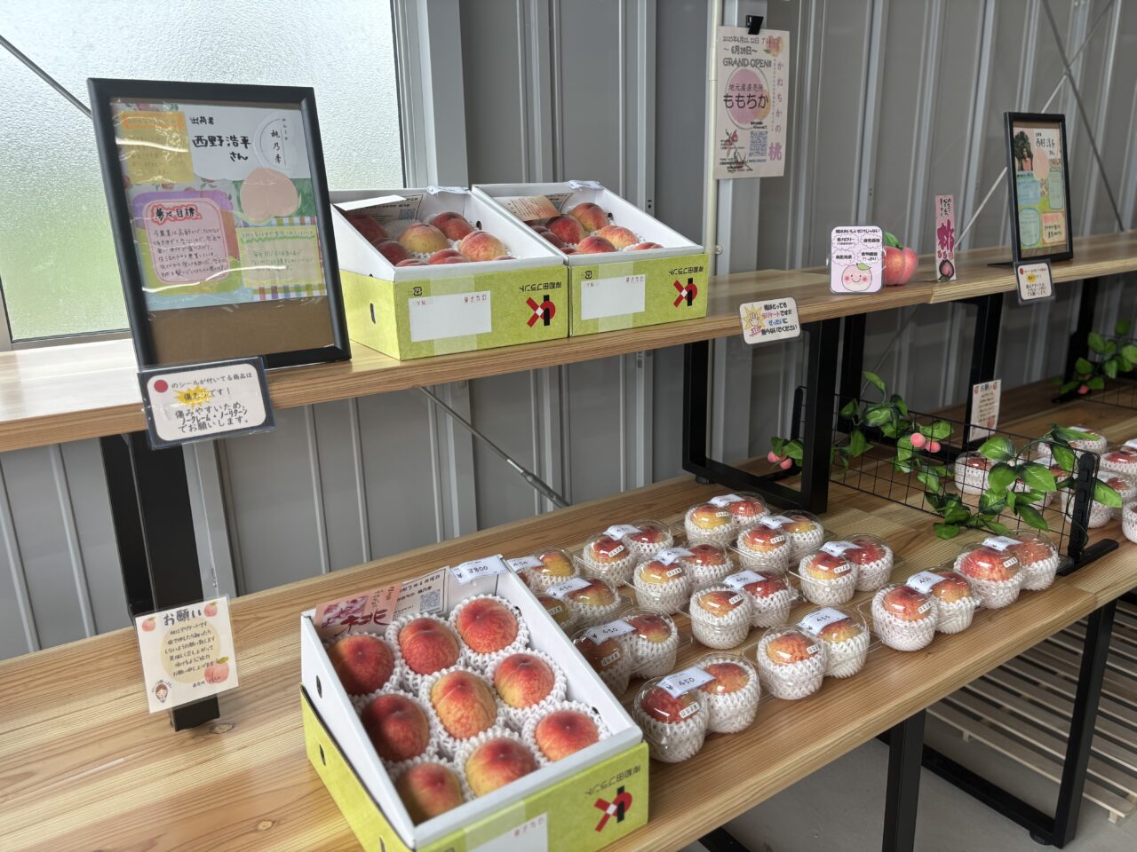 直売所ももちか店内
