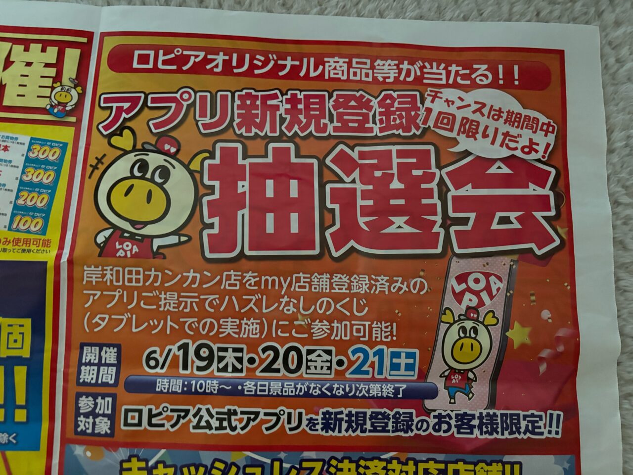 ロピアチラシ