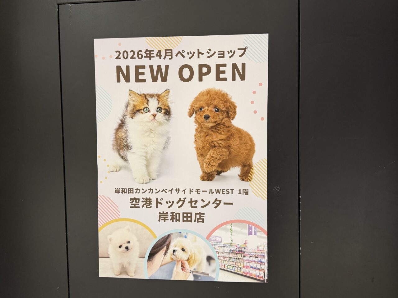 空港ドッグセンター