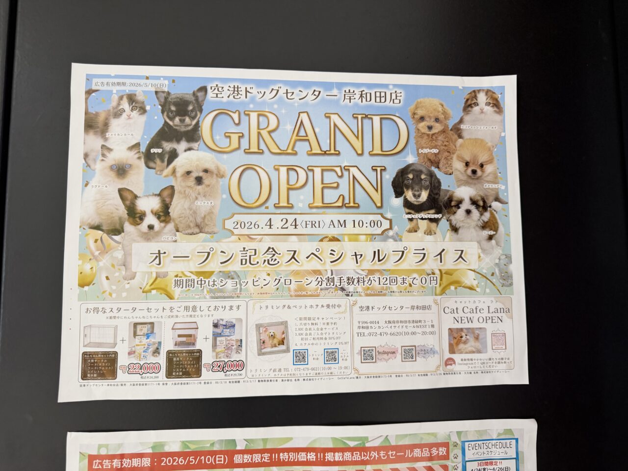 空港ドッグセンター