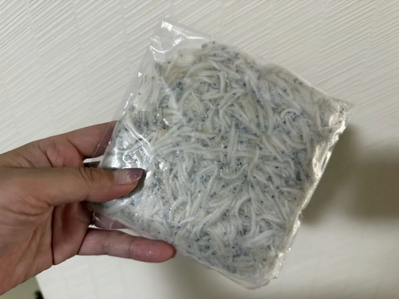 義丸しらす直売所