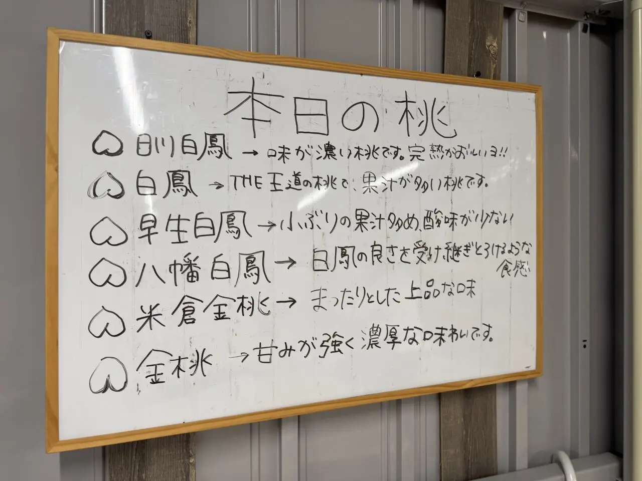 ももちか