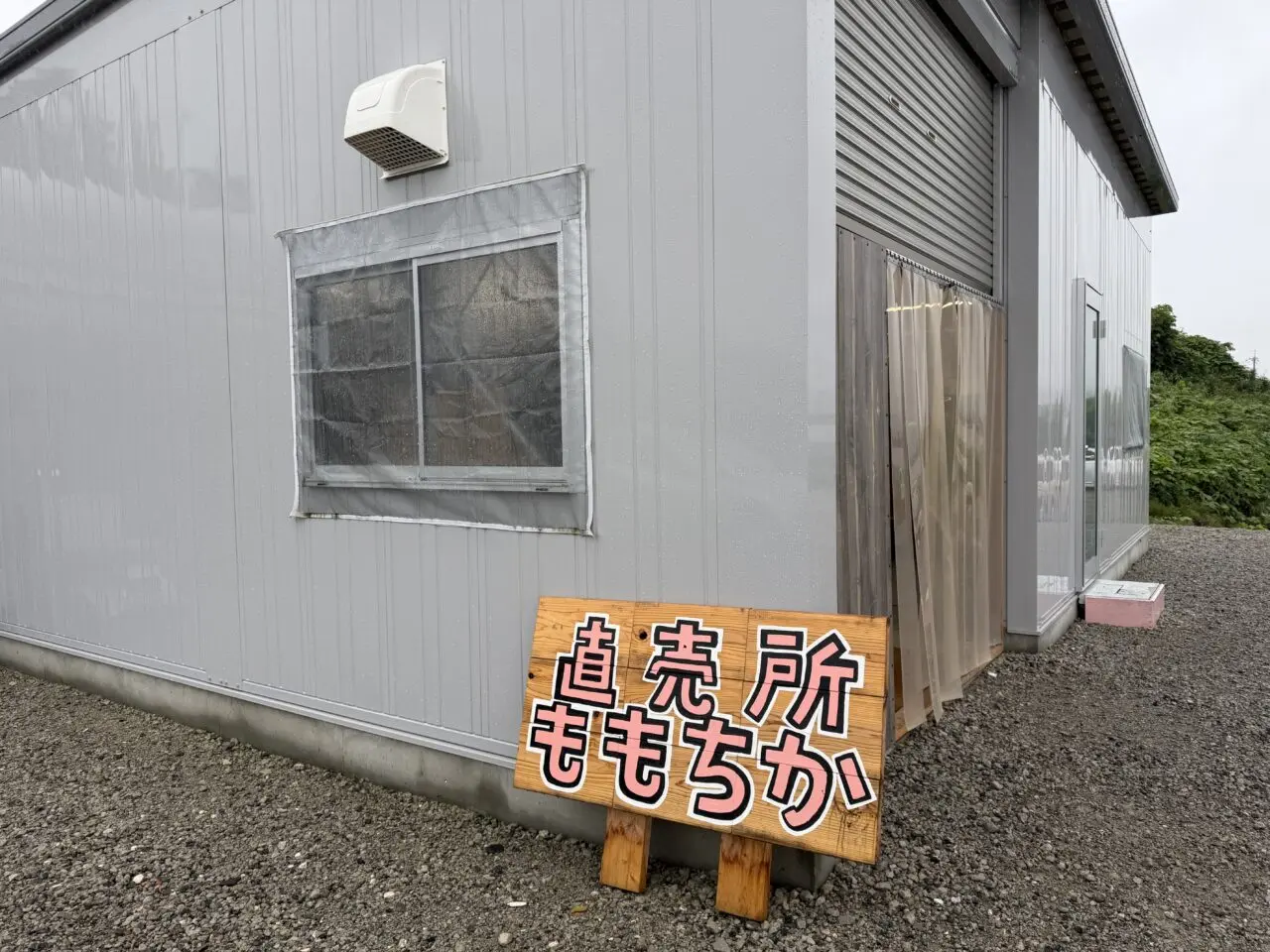 ももちか