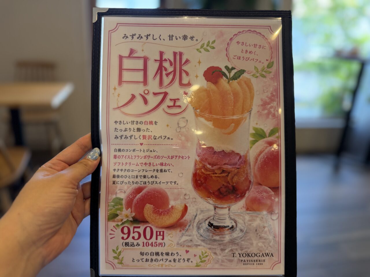 T.YOKOGAWA 岸和田店