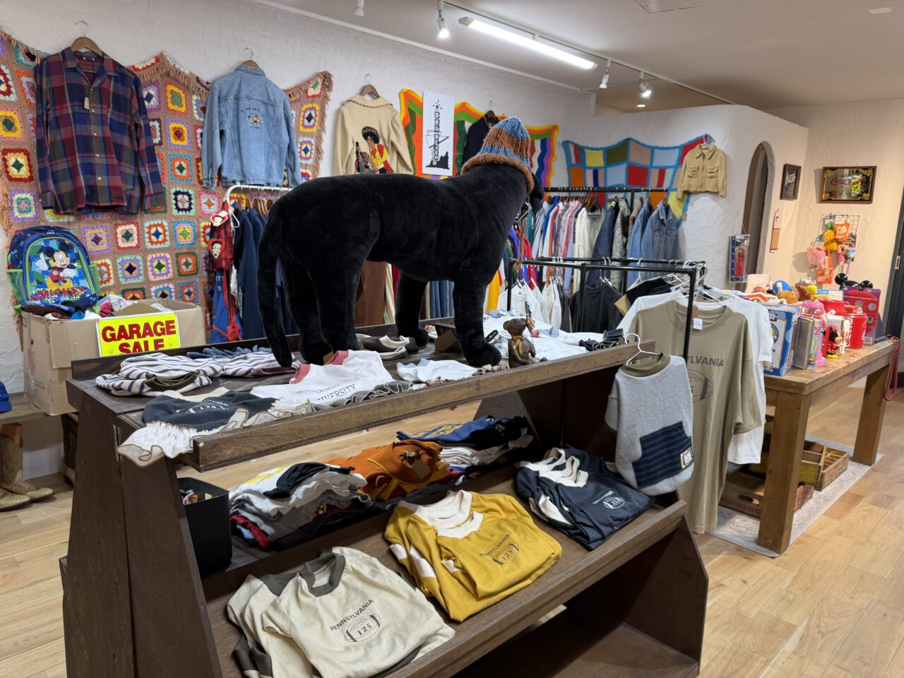 「DOG BEACH」と「dog wear brand １２５」
